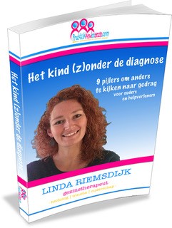 Linda Riemsdijk boek